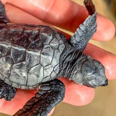 Image of Internship Travel Experiences